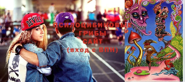 соль ск Дмитровск