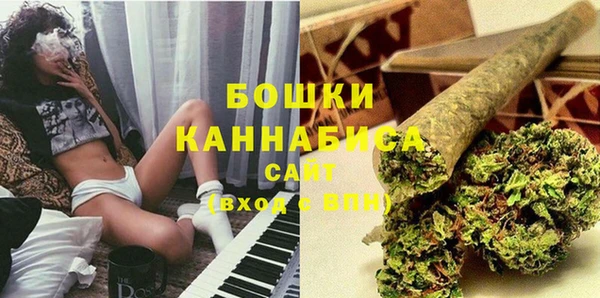спиды Дмитриев