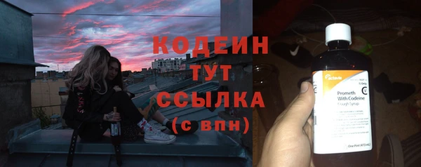 спиды Дмитриев