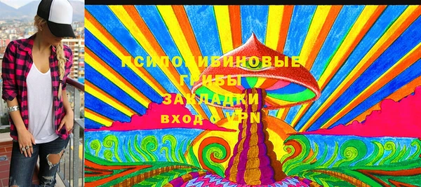 СК Гусь-Хрустальный