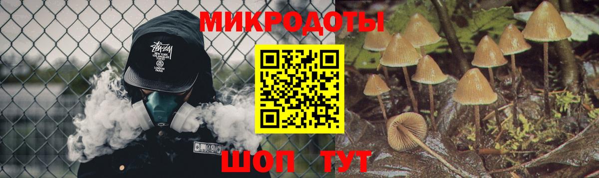 Елизово  где можно купить   Псилоцибиновые грибы Psilocybine cubensis  Вход с VPN  Галлюциногенные грибы Psilocybe 
